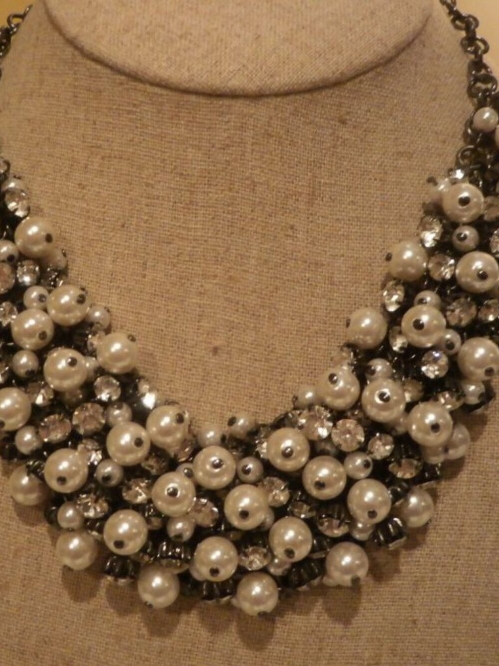 Enamored Premier Designs Necklace